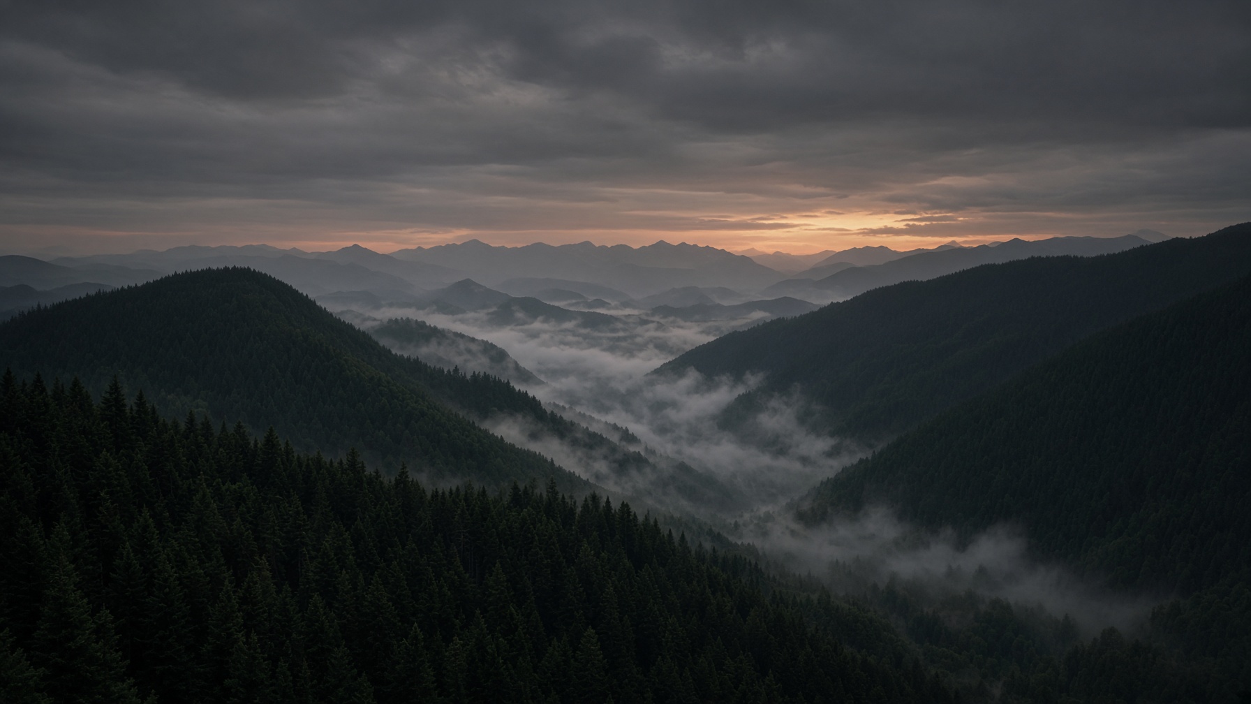 Mist over a forested valley at dusk