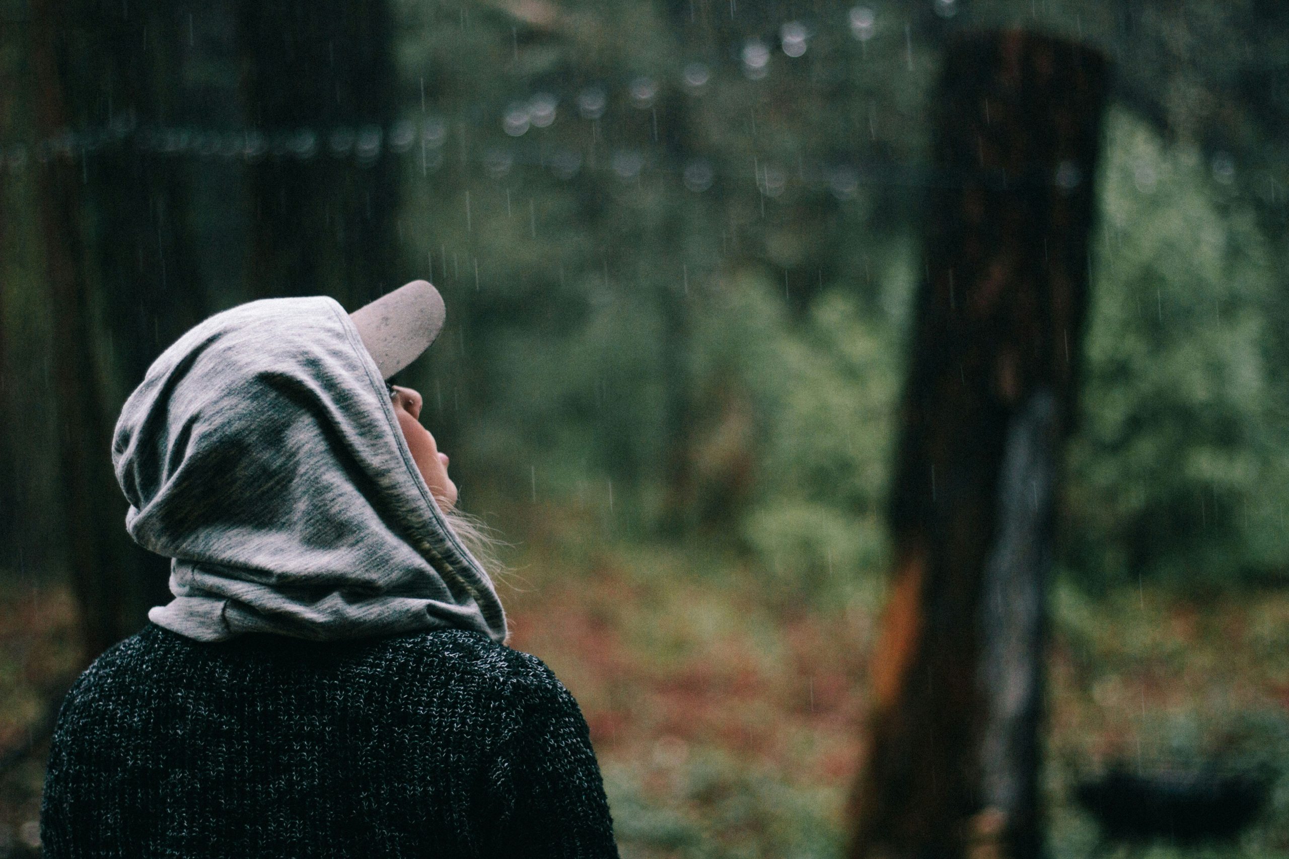 A person wearing a hooded sweater and a cap looks up into the rain in a peaceful, forested area, surrounded by trees and greenery, creating a reflective, tranquil moment in nature